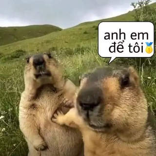 $ĂN KÈO NHÀ CÁI FREE💋💋