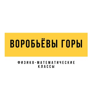 Приём 2026. Лицей «Воробьёвы горы». Физико-математические классы.