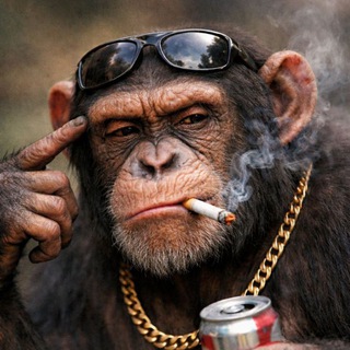 The Ape House (Pvt)