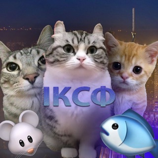 ІКСФ(Імперія Котів Слава фона)