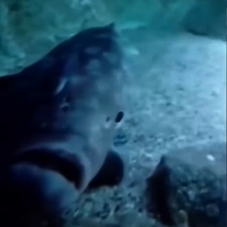 мякурин