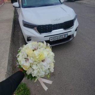 Kasimov 🧢