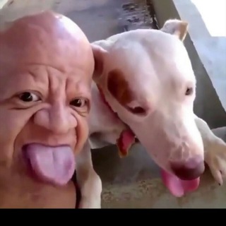 Чат -обезбашен😱😈