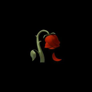 Dardim Icimda | 🥀