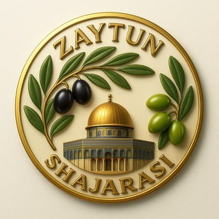 Zaytun daraxtimiz