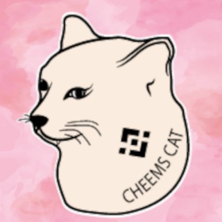 Cheems Cat *The Official* Indonesia 🇮🇩