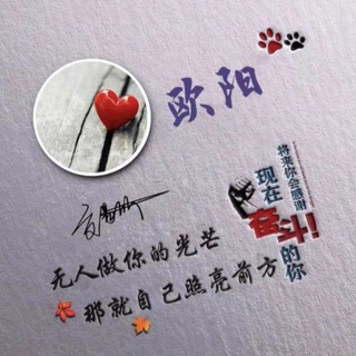 欧阳双向机器人