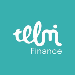 Telmi Finance Group -Discussion-