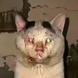 rArBeZa