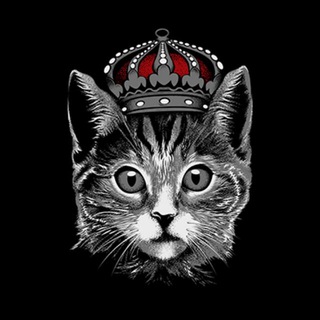 0x 🍅 🐈‍⬛