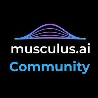 Чат Мusculus