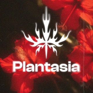 Plantasia LOUNGE