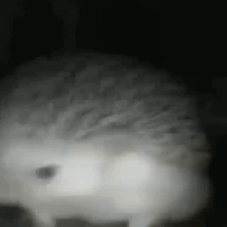 че за суета бля