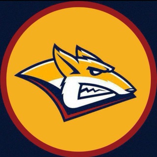 Независимая Гостевая 🏒