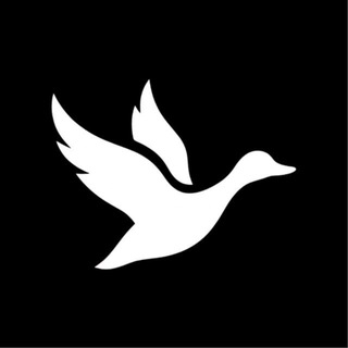 Ducky Capital $DCAI (Former $DUCKAI)
