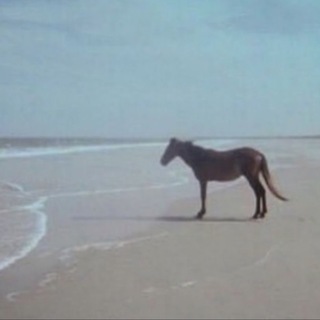 طالبة خامس