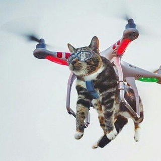 Miao