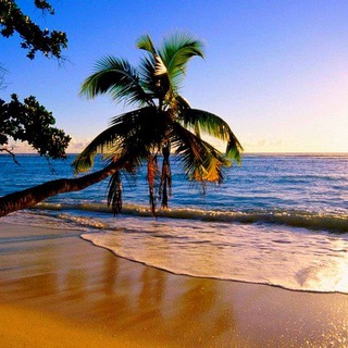 Global Friends Paradise