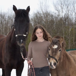 🐴Пряничные истории💗