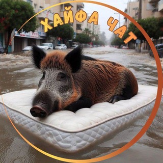 Хайфа Чат