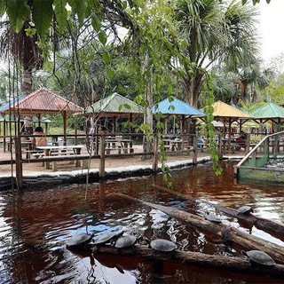 Balneários/Praias AM