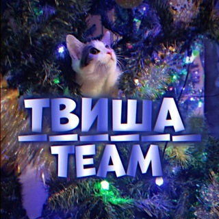 твиши на связи