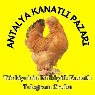 Antalya Kanatlı Pazarı🇹🇷