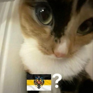 /po/сле синча💀🇷🇺