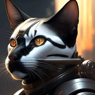 Catcoin officiall