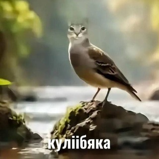 Bshka #БСОЖ