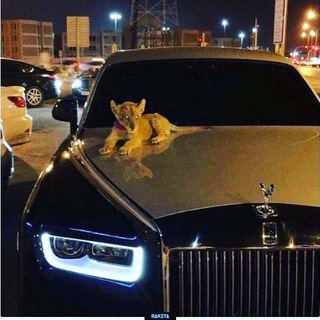 Алдияр
