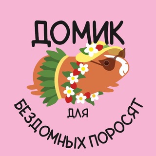 ДОМИК для бездомных поросят