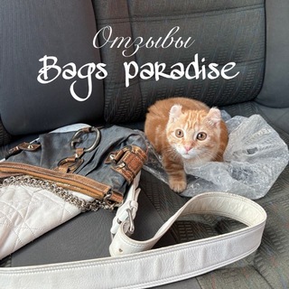 Отзывы Bags paradise