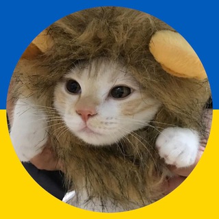 Генератор повідомлень