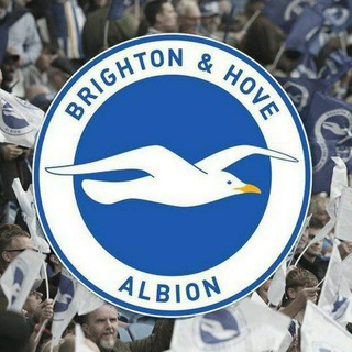 Brighton and Hove Albion⚽️