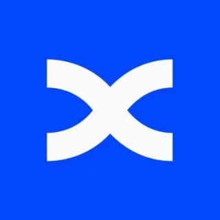 BingX Copy Trading Global Group