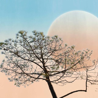 Galaxy_Lees