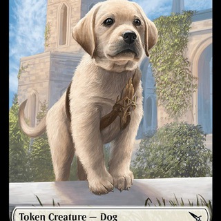 DOGS