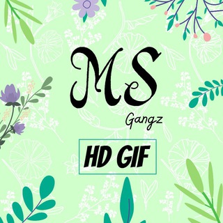 GIF MS Gangz