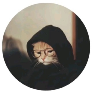모 Z e ⸙ N X. ¿ ?