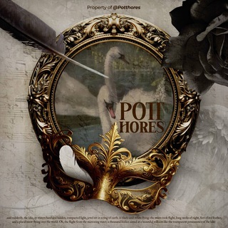 Potthores Assist