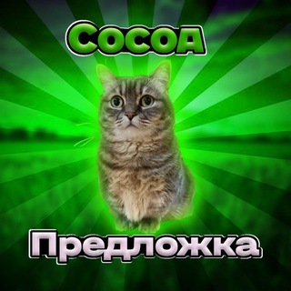 Кокоа предложка