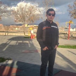 reza heydarlou