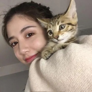 琪琪