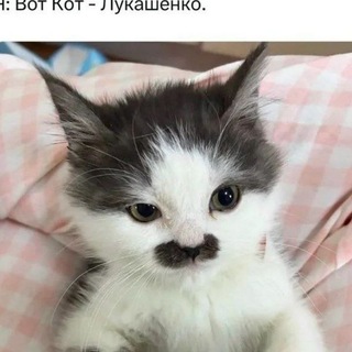Смехуёчки пиздохаханьки