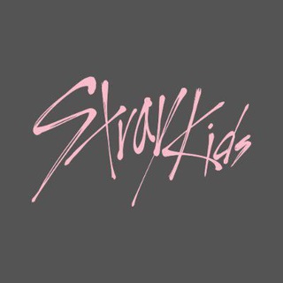 STRAY KIDS ♡ STAY