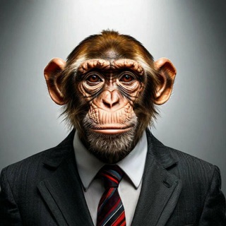Манке чат🐒