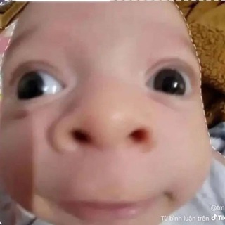 | Dca mẫu giáo? |