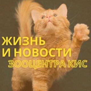 Жизнь Зооцентра КиС🦮🐈