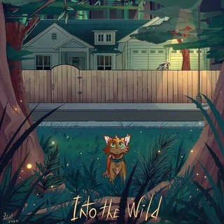 запросы и тейки Warrior cats/ Коты-воители